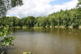 Image result for Penketh & Old Hall Angling Society