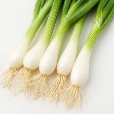 Résultat de recherche d'images pour "Allium fistulosum"