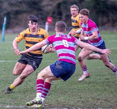 Image result for Wimbledon Touch Rugby