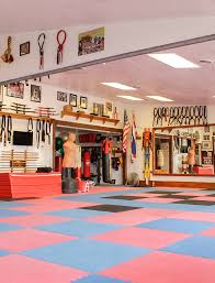 Image result for New Path Martial Arts Academy