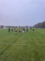 Image result for Hamilton Panthers Association Football Club