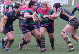 Image result for Ellingham and Ringwood Rfc