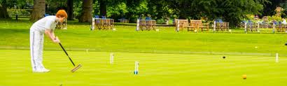 Image result for Crawley Croquet Club