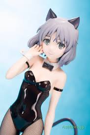 「サーニャ・V・リトヴャク ストライクウィッチーズ」の画像検索結果