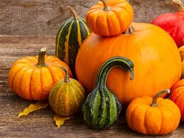 Image result for Kürbis