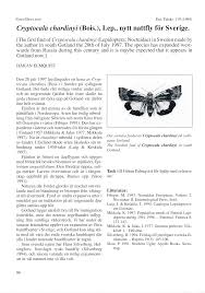 Attēlu rezultāti vaicājumam “Cryptocala chardinyi”