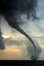Image result for Tadcaster Tornadoes