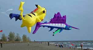 Image result for Kent Kite Flyers Club