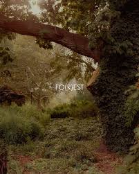 Image result for лес,