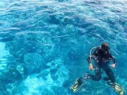 Image result for Three Seas Diving