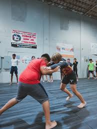 Image result for Apollo Martial Arts Academy