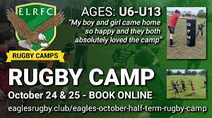 Image result for Effingham and Leatherhead Rfc