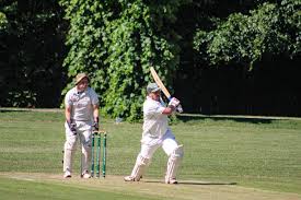 Image result for Wincanton Cricket Club