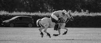Image result for Taunton Vale Polo Club