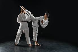 Image result for Action Karate
