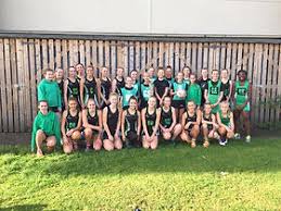 Image result for Wealden Netball Club