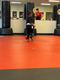Image result for TopKick Martial Arts Center Leesburg
