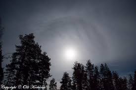 Kuvahaun tulos haulle haloilmi