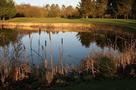 Image result for Bicester Golf & Country Club