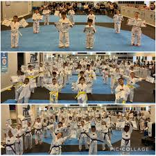 Image result for International Tae Kwon Do Academy