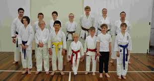 Image result for Sandokai Karate