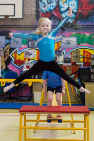 Image result for West Lothian Artistic Gymnastic Club