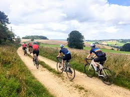 Image result for Cheltenham and County Harriers