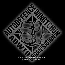 Image result for Alton Autodefence Wing Tchun