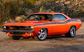 Image result for Plymouth Rhc