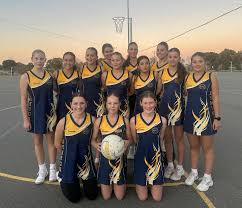 Image result for Erewash pixies netball club