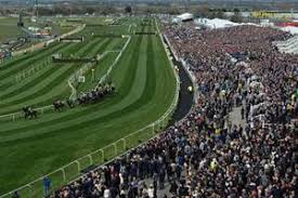 Image result for Liverpool Equestrian Club