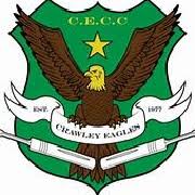 Image result for Ifield Cricket Club