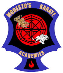 Image result for Hetton and Murton Karate Academy