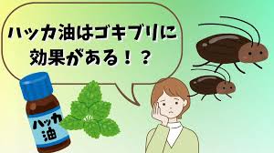 Image result for ゴキブリ報告所