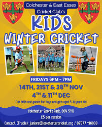 Image result for Minehead Cricket Club