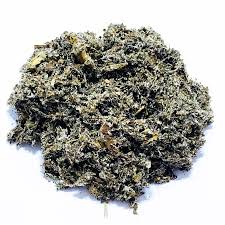 Attēlu rezultāti vaicājumam “Arctium lappa leaf”