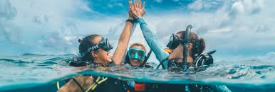 Image result for Stortford Divers