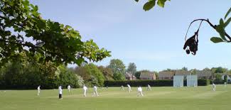 Image result for Letchworth Cricket Club