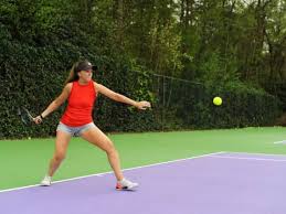 Image result for Moorland Tennis Club