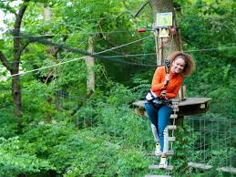 Image result for Go Ape! Thetford