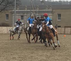 Image result for Taunton Vale Polo Club