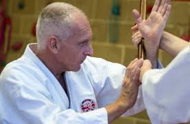 Image result for Sandokai Karate