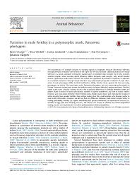Attēlu rezultāti vaicājumam “Parasemia plantaginis male”