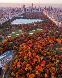 Image result for $$fall_akte__ort$$