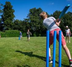 Image result for St Albans Ultimate