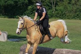 Image result for Peebles & District Riding Club