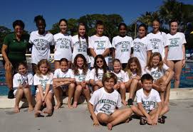 Image result for 3D Diving Club