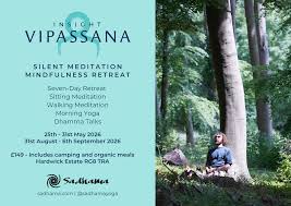 Image result for Thames Valley Silent Flyers