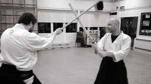 Image result for Kyoku Kenjutsu Kai