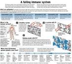<b>Intravenous immunoglobulin</b>